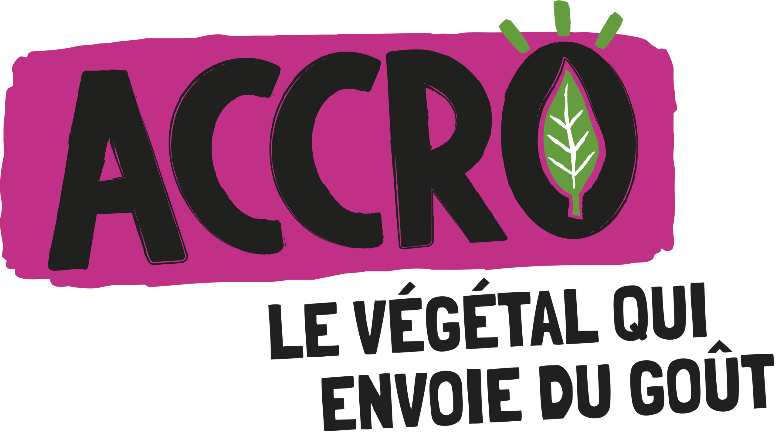 logo accro vegetal