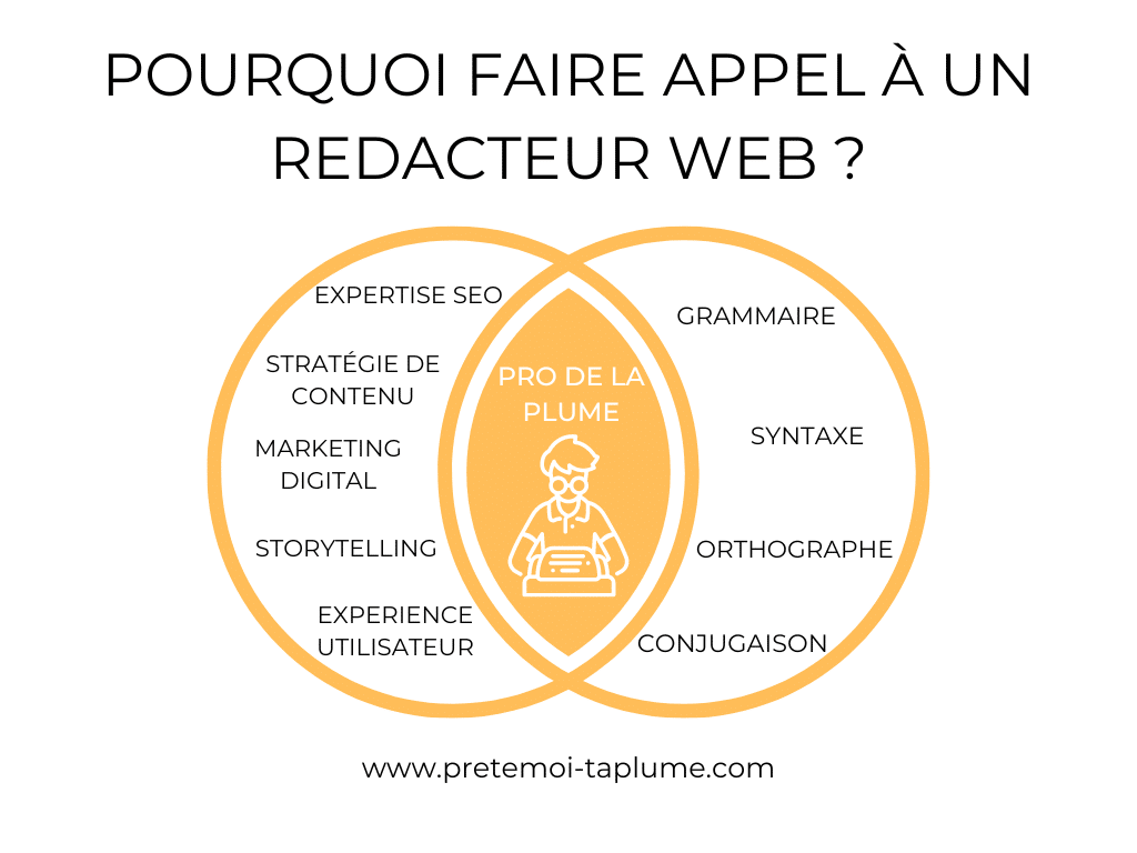 agence redacteur web lille